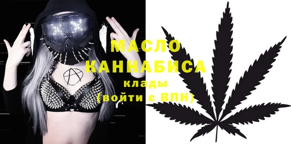 spice Бородино
