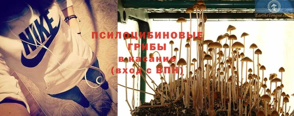 бошки Богданович