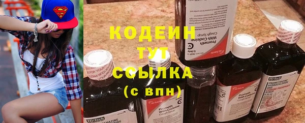 spice Бородино