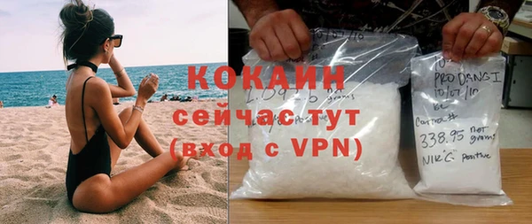 прущие грибы Богородицк