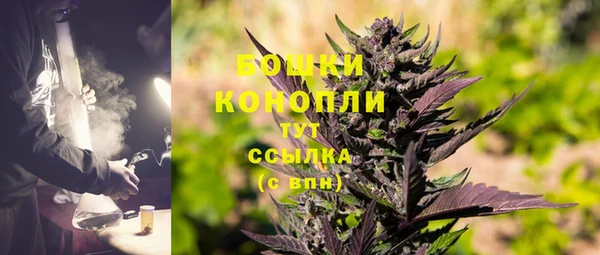 прущие грибы Богородицк