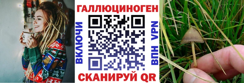 Псилоцибиновые грибы мицелий  Гаврилов-Ям 